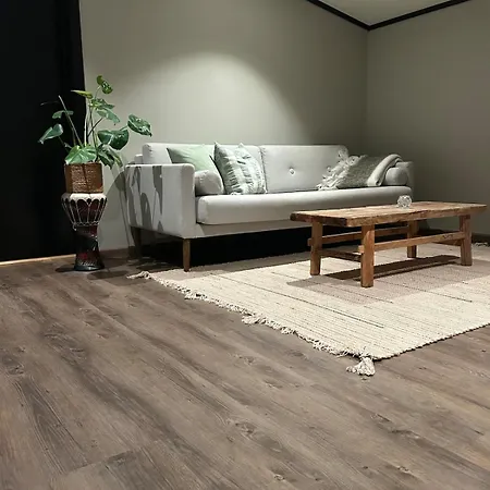 Loft Apartament Alta